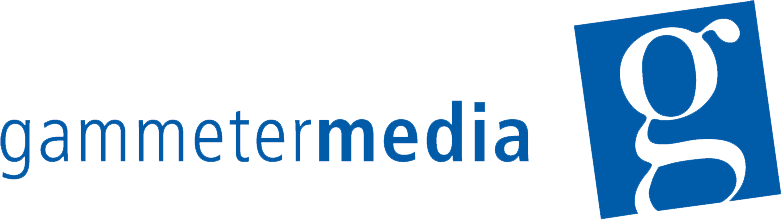 Template Venture Capital Firm